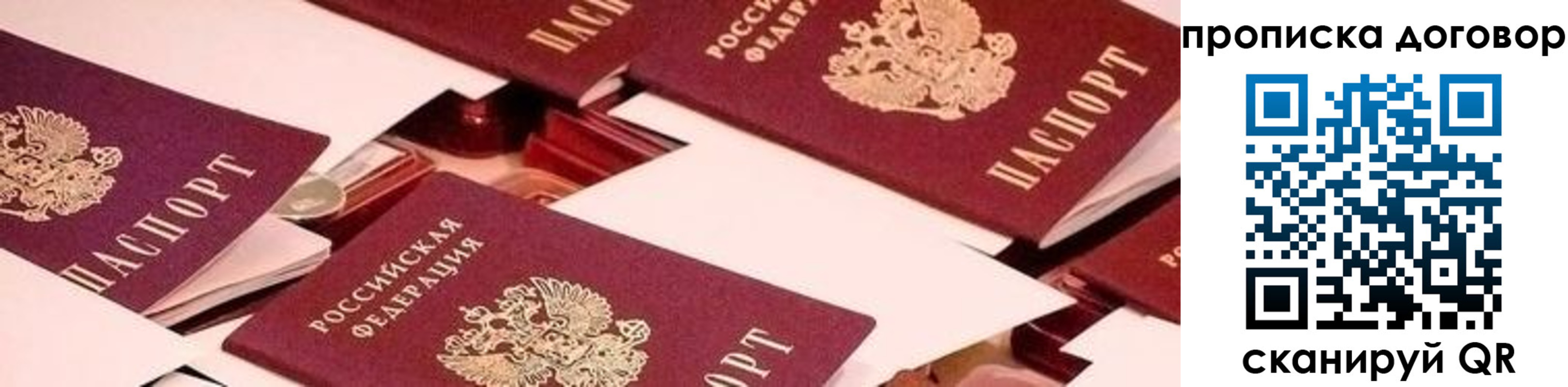 прописка 2025 в Снежногорске